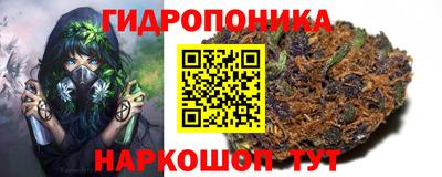 прущая мука Шебекино